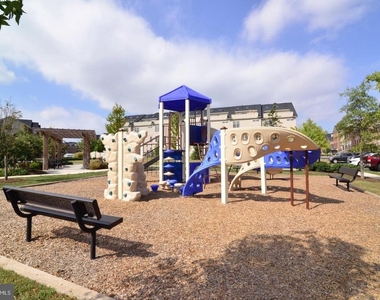 42463 Pine Forest Drive - Photo Thumbnail 28