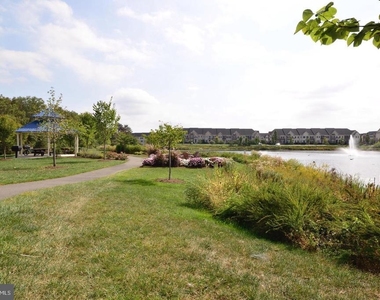 42463 Pine Forest Drive - Photo Thumbnail 32
