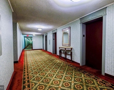 1225 Martha Custis Drive - Photo Thumbnail 14