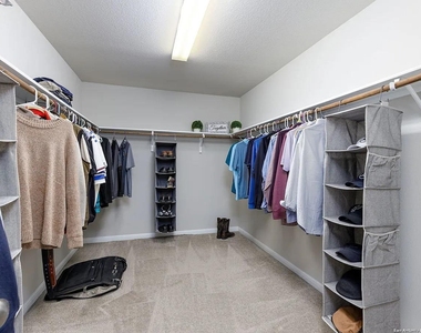 241 Silver Maple Dr - Photo Thumbnail 7