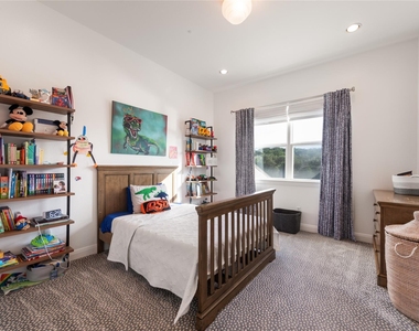716 Crestone Stream Dr - Photo Thumbnail 23