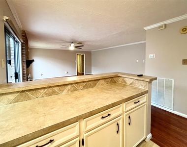 11954 Brook Meadows Lane - Photo Thumbnail 8