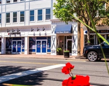 246 Main - Photo Thumbnail 34