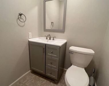 1407 Springrock Lane - Photo Thumbnail 8