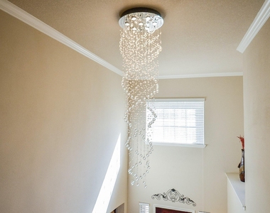 3115 Sachse Court - Photo Thumbnail 29