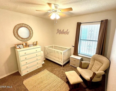10041 Paloma Drive - Photo Thumbnail 15
