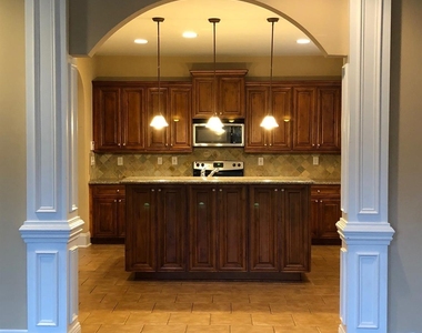 15314 S Birkdale Commons Parkway - Photo Thumbnail 5
