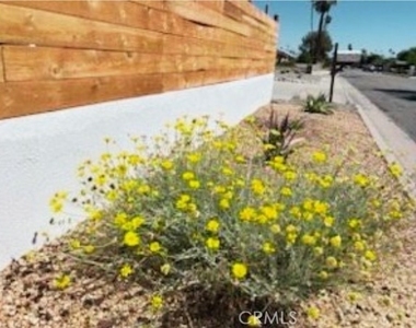 3940 E Calle San Antonio - Photo Thumbnail 42