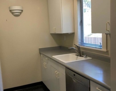 245 Emerson Street - Photo Thumbnail 3
