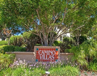 3539 Caminito El Rincon - Photo Thumbnail 21