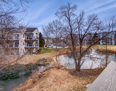 20600 Cornstalk Terrace - Photo Thumbnail 10