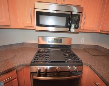 13058 Autumn Woods Way - Photo Thumbnail 11