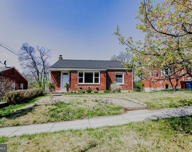 3104 Gumwood Drive - Photo Thumbnail 4