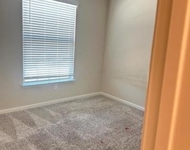 1707 Cotton Blossom Lane - Photo Thumbnail 22