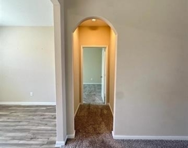 1707 Cotton Blossom Lane - Photo Thumbnail 14