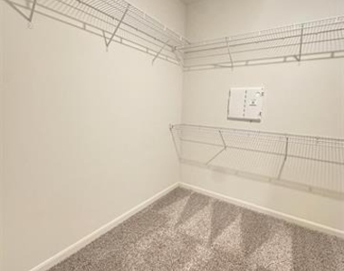 1707 Cotton Blossom Lane - Photo Thumbnail 20