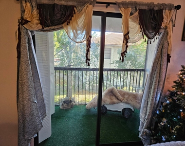 10571 Royal Palm Boulevard - Photo Thumbnail 3