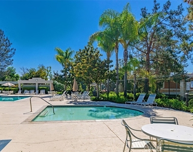 3 Coralwind - Photo Thumbnail 25