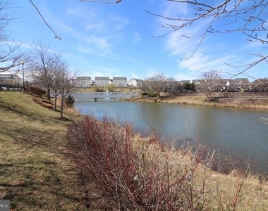 14201 Reidhall Place - Photo Thumbnail 48
