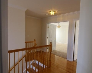 14201 Reidhall Place - Photo Thumbnail 36