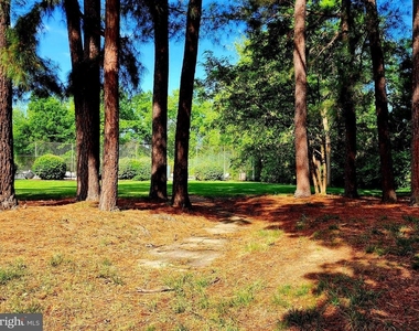 3815 Monte Vista Place - Photo Thumbnail 50