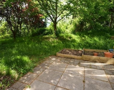 421 Green Fern Circle - Photo Thumbnail 22