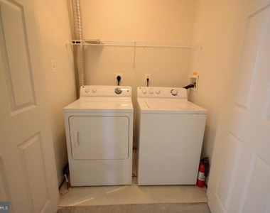 421 Green Fern Circle - Photo Thumbnail 19