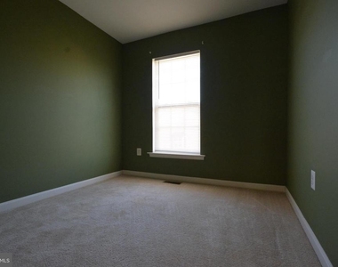421 Green Fern Circle - Photo Thumbnail 11