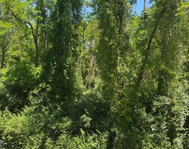 4610 Woodberry Street - Photo Thumbnail 21