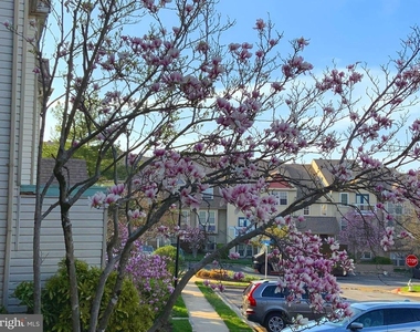 7904 Crows Nest Court - Photo Thumbnail 5