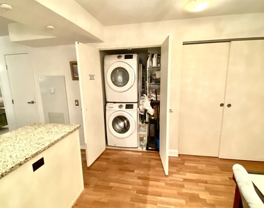 9725 Woods Drive - Photo Thumbnail 11