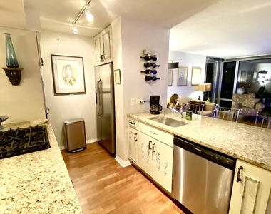 9725 Woods Drive - Photo Thumbnail 8