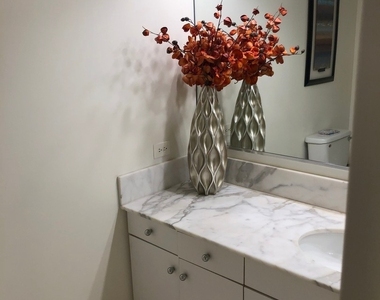 680 N Lake Shore Drive - Photo Thumbnail 13