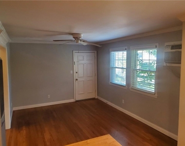 1042 Ne Saint Charles Avenue Ne - Photo Thumbnail 11