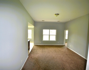 6958 Chessgate Falls Lane - Photo Thumbnail 8