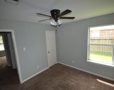 6958 Chessgate Falls Lane - Photo Thumbnail 20