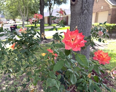 1707 Magnolia Lake - Photo Thumbnail 47