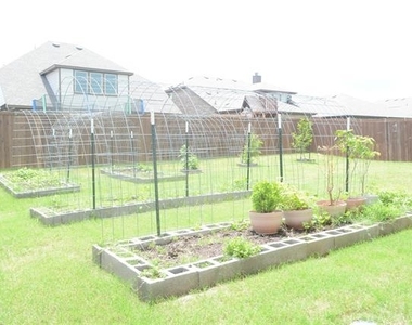 11612 Silver Queen Drive - Photo Thumbnail 16