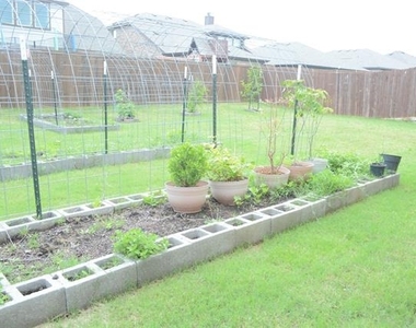 11612 Silver Queen Drive - Photo Thumbnail 17