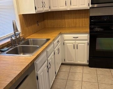 1110 Paluxy Court - Photo Thumbnail 2