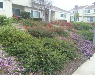 1063 Canyon Spring Lane - Photo Thumbnail 1