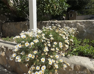 2385 Utley Road - Photo Thumbnail 21