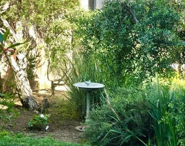 23752 Malibu Road - Photo Thumbnail 36