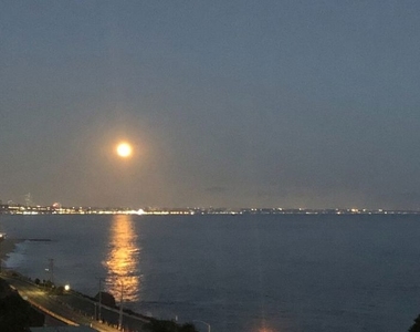 18101 Coastline Drive - Photo Thumbnail 36