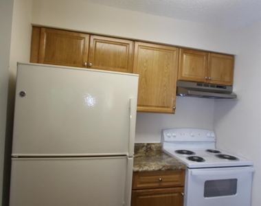 4707 Ravens Crest Drive - Photo Thumbnail 10