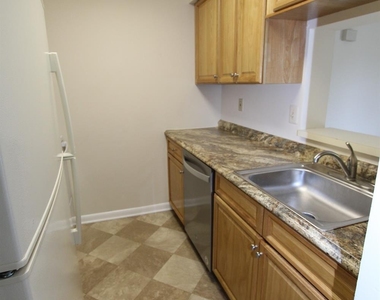 4707 Ravens Crest Drive - Photo Thumbnail 9