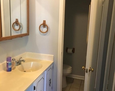 15205 Streamside Court - Photo Thumbnail 24