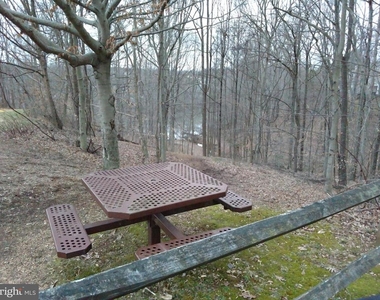 15205 Streamside Court - Photo Thumbnail 51