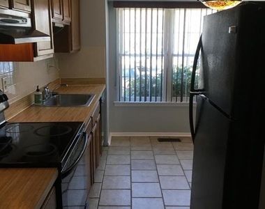 15205 Streamside Court - Photo Thumbnail 8