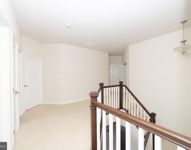 24446 Carolina Rose Circle - Photo Thumbnail 23